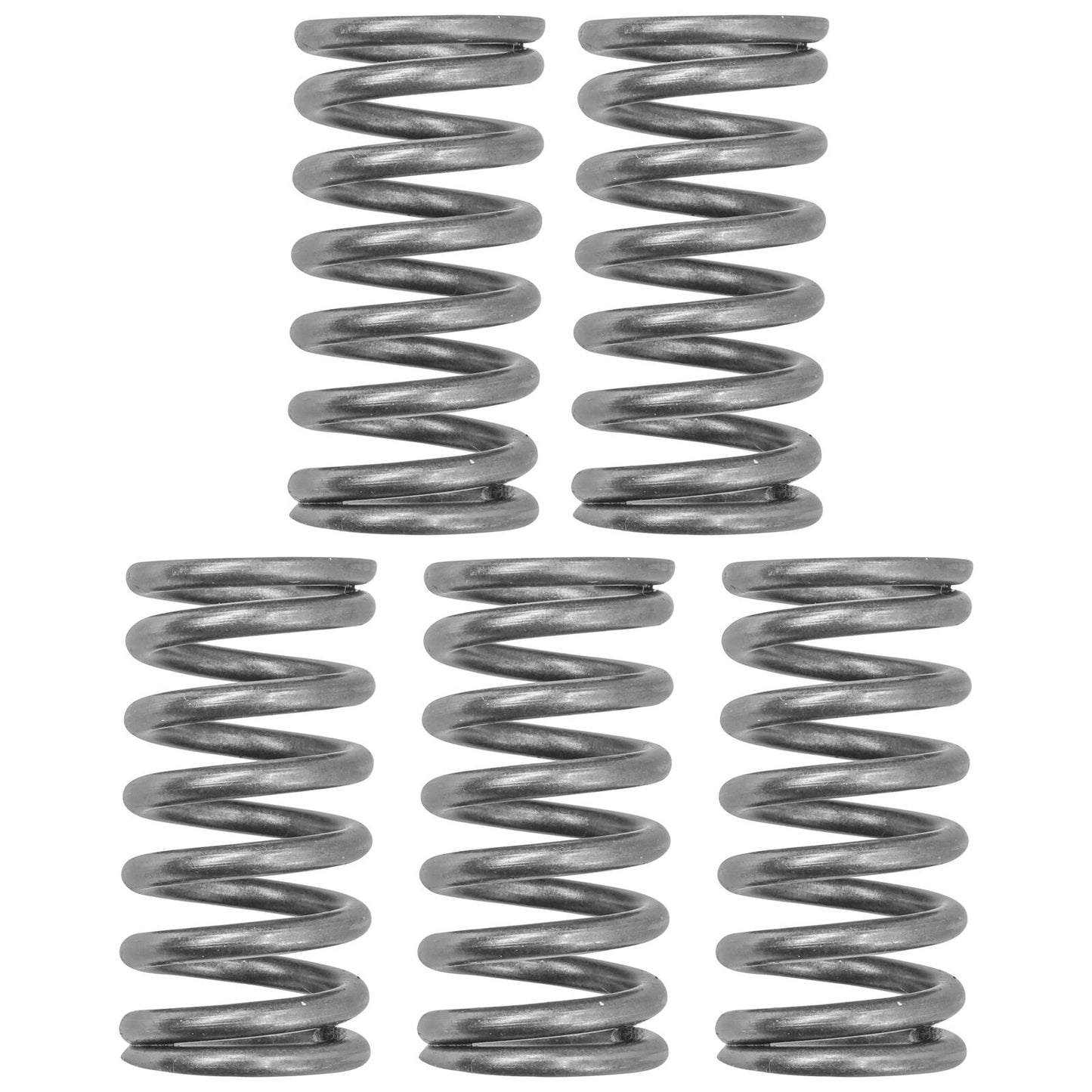 Clutch Pressure Springs for Honda CBF300N 2019 - 2022 / 22401-K33-D01 / Qty 5