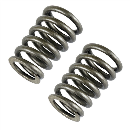 2X Valve Springs For CanAm Defender MAX HD10 2021