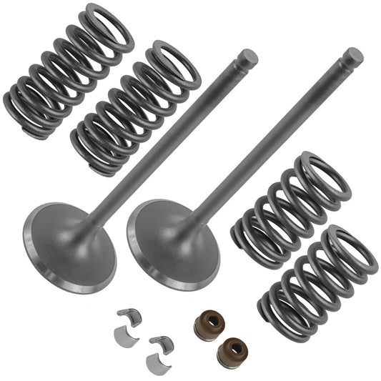 2x Intake Valve Kit for Honda Rincon 650 TRX650FA TRX650FGA 4x4 2003 2004 2005