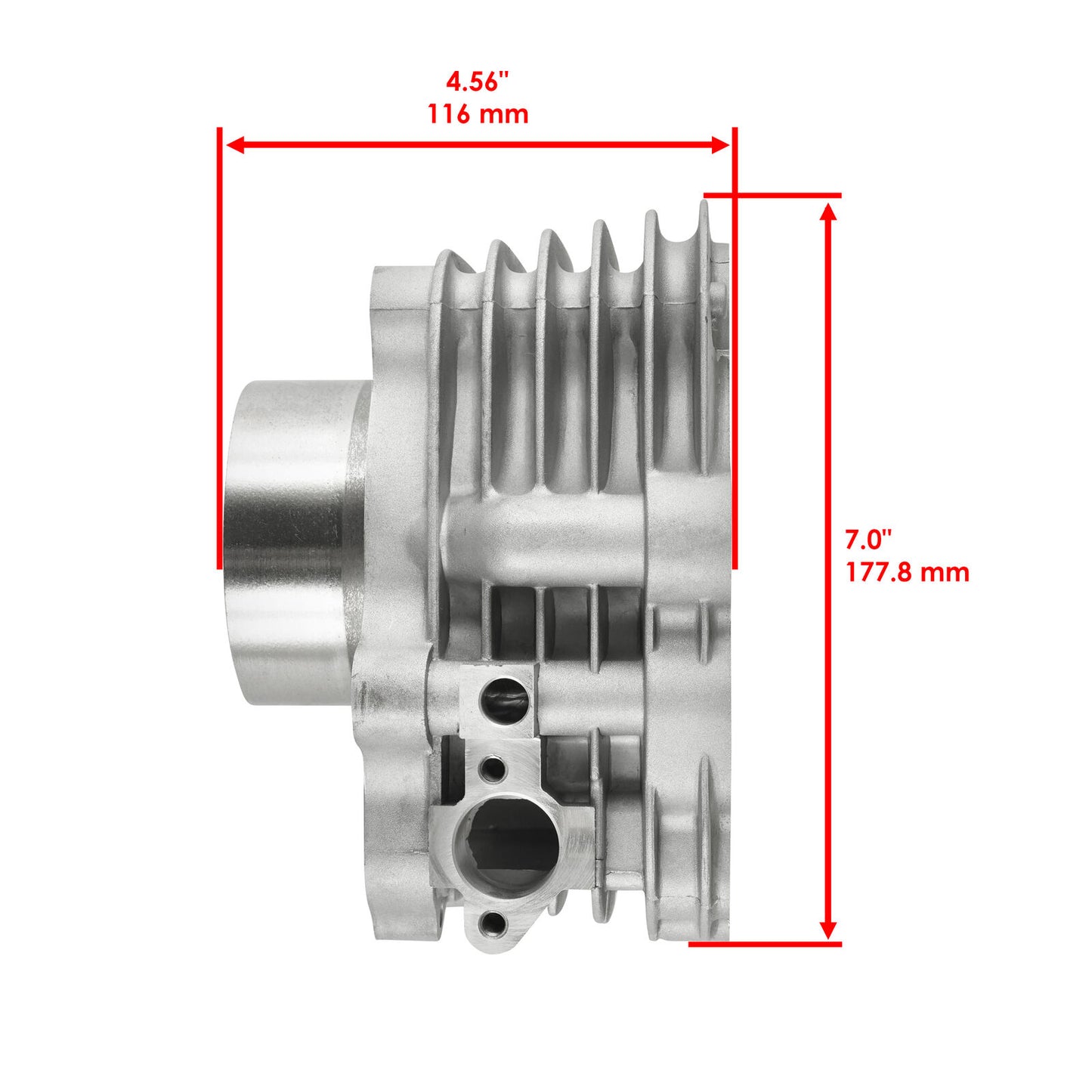 Cylinder For Honda TRX300EX Sportrax 300 2X4 1998 1999 2000 - 2008 Standard Bore