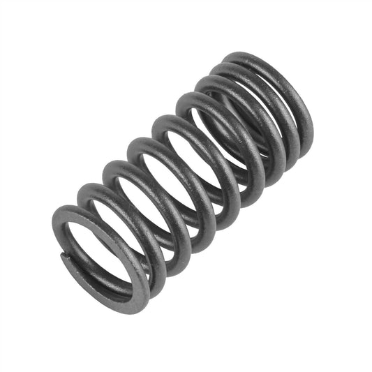 Inner Valve Springs For Honda FourTrax 250 TRX250 2X4 1985 1986