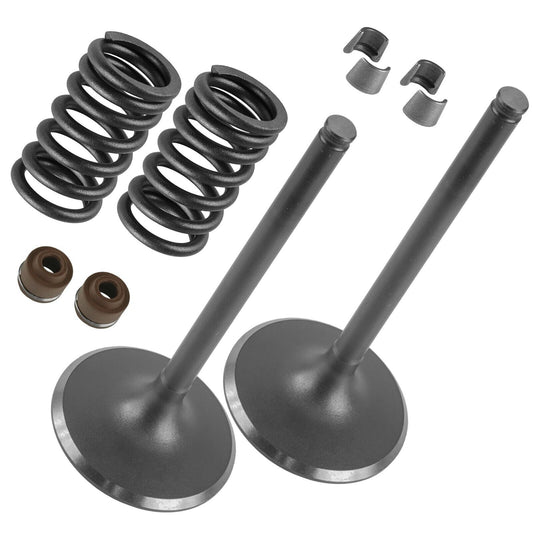 2x Intake Valve Kit for Honda Sportrax 450 TRX450R 2x4 2004-2005/14711-HP1-670