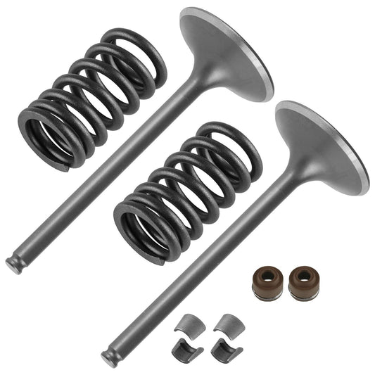 2x Intake Valve Kit for Honda CRF450X 2005 2006 2007 2008 2009 2012 2013-2017