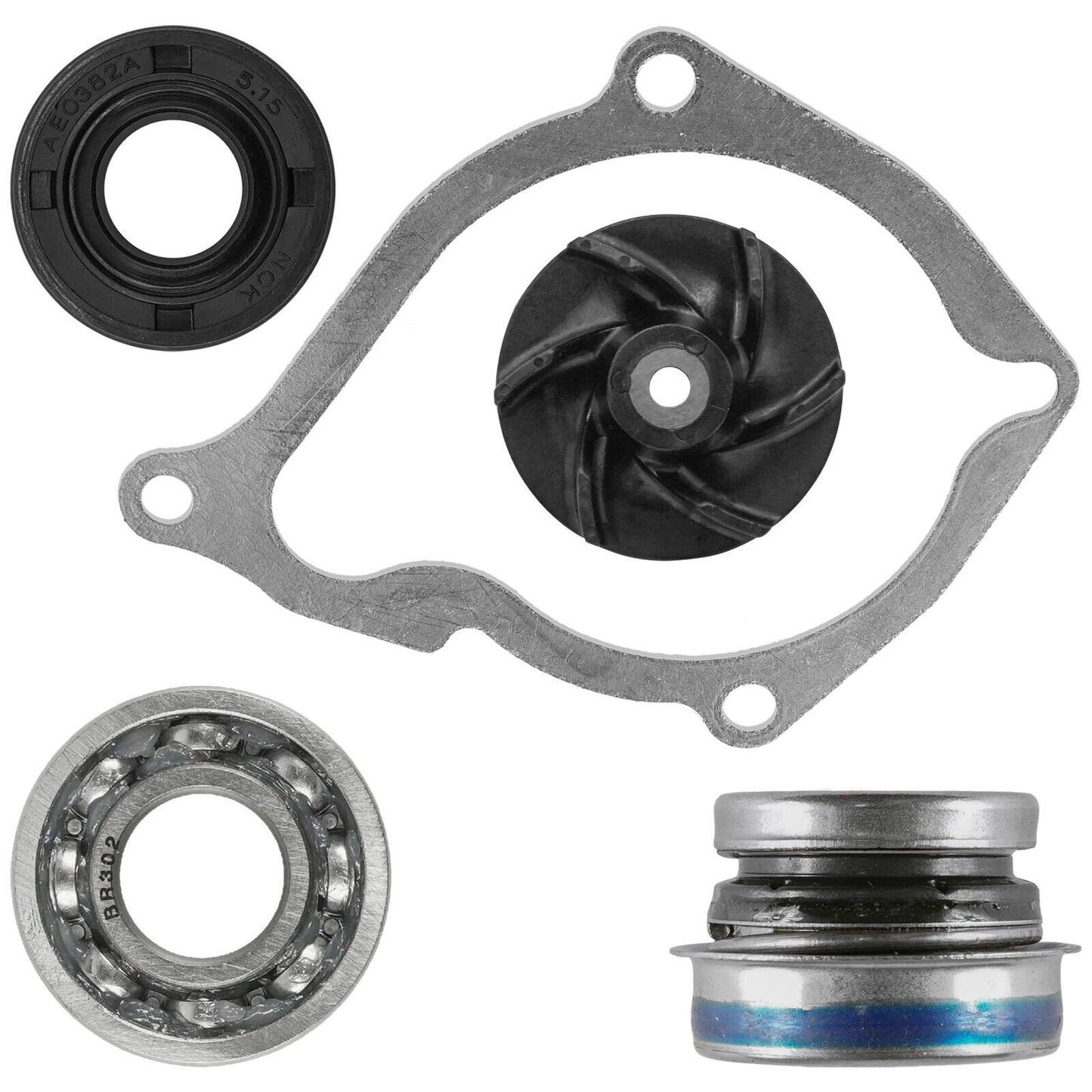 Caltric Water Pump Gasket Kit For Polaris Scrambler 500 97-12 / Worker 500 99-01