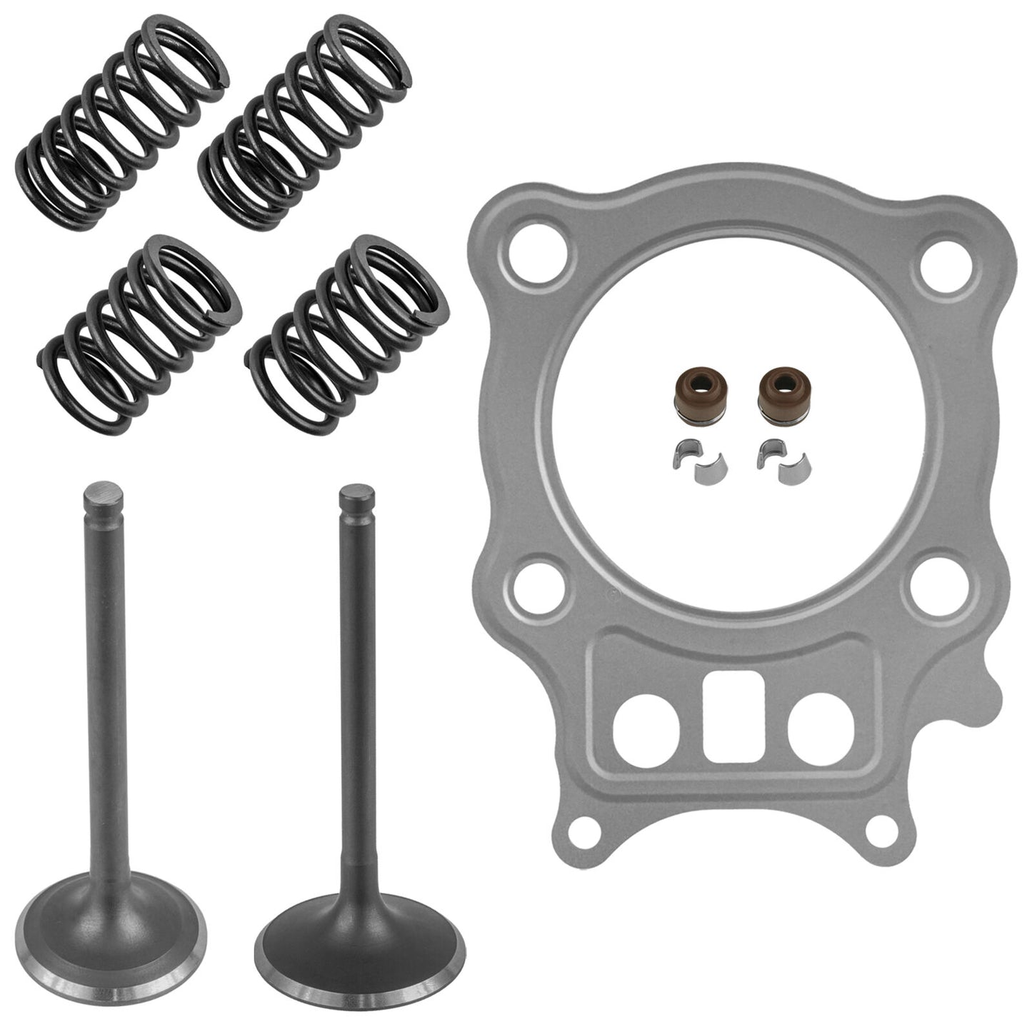 Intake/Exhaust Valve kit W/Gasket For Honda Rancher 350 TRX350FE 4x4 ES 2000-06